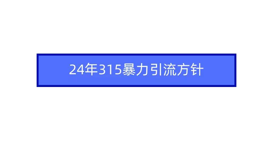 2024年315暴力引流方针-博学库