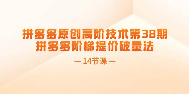 拼多多原创高阶技术第38期，拼多多阶梯提价破量法（14节课）-博学库