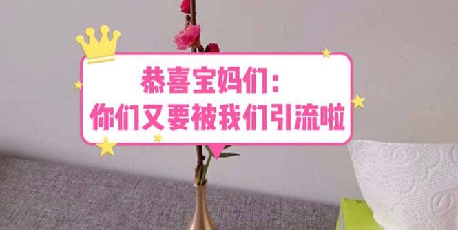 恭喜宝妈们:你们又要被我们引流了(教程+222g资料)-博学库