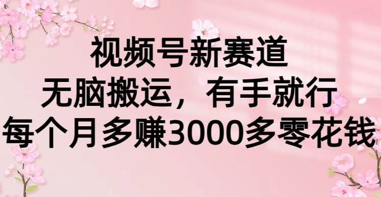 视频号新赛道,无脑搬运,有手就行,每个月多赚3000多零花钱-博学库