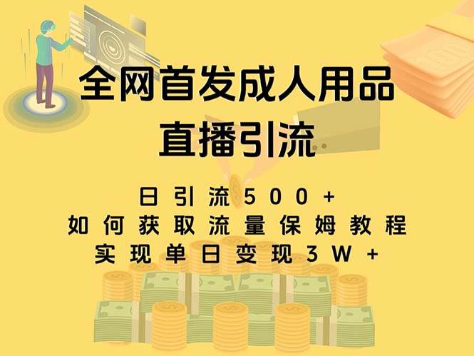 最新全网独创首发,成人用品直播引流获客暴力玩法,单日变现3w保姆级教程-博学库
