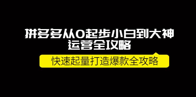 拼多多从0起步小白到大神运营全攻略-博学库