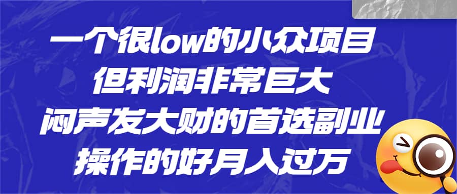 一个很low的小众项目,但利润非常巨大,闷声发大财的首选副业,月入过万-博学库