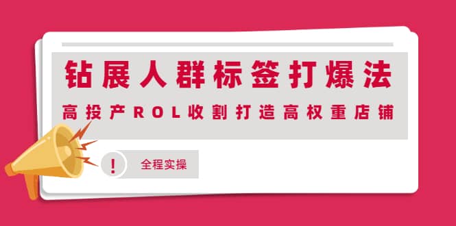 钻展人群标签打爆法,高投产ROL收割打造高权重店铺(全程实操)-博学库