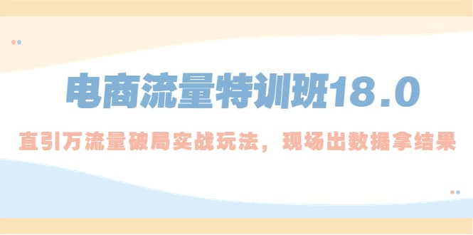 电商流量特训班18.0，直引万流量破局实操玩法，现场出数据拿结果-博学库