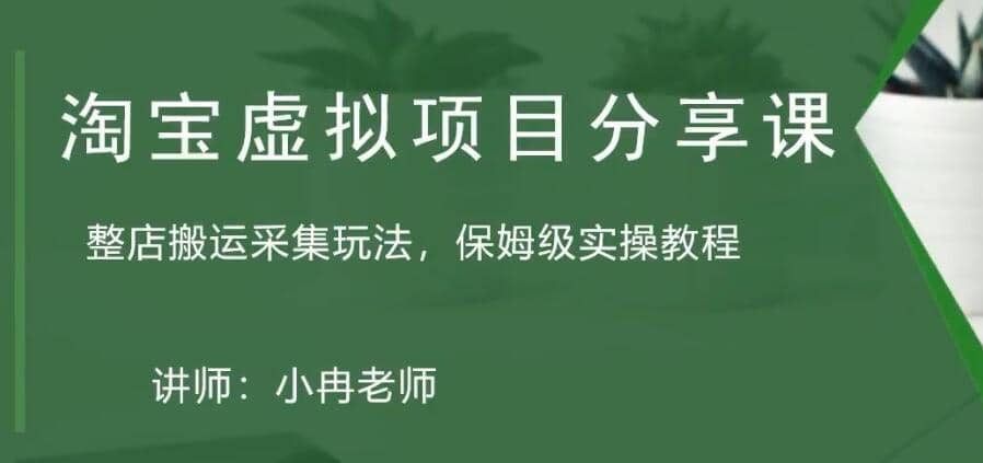 淘宝虚拟整店搬运采集玩法分享课:整店搬运采集玩法,保姆级实操教程-博学库