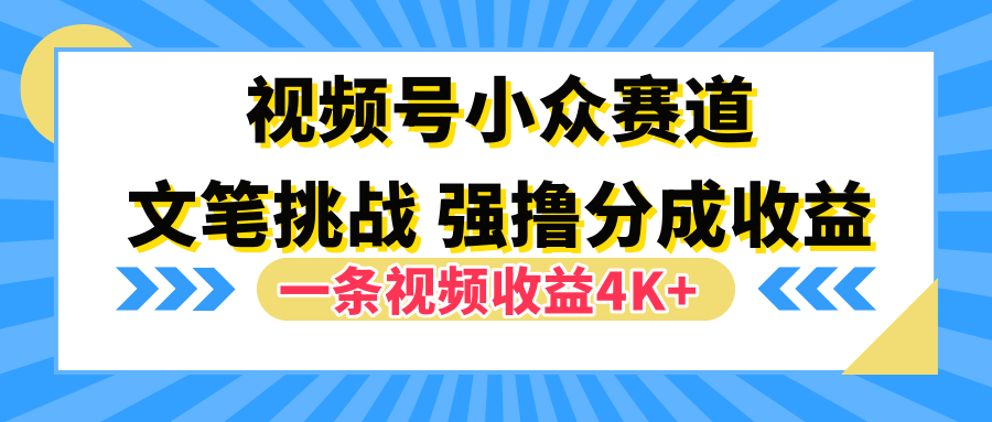 视频号小众赛道,文笔挑战,一条视频收益4K+-博学库