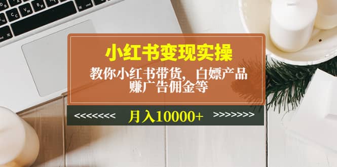 小红书变现实操:教你小红书带货,白嫖产品,赚广告佣金等-博学库