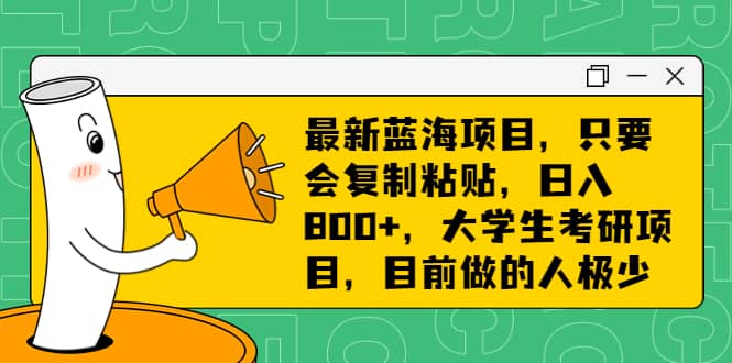 最新蓝海项目,只要会复制粘贴,日入800+,大学生考研项目,目前做的人极少-博学库