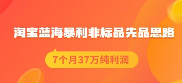 盗坤淘宝蓝海暴利非标品先品思路,7个月37万纯利润,压箱干货分享!【付费文章】-博学库