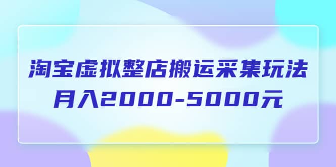 淘宝虚拟整店搬运采集玩法分享课:月入2000-5000元(5节课)-博学库