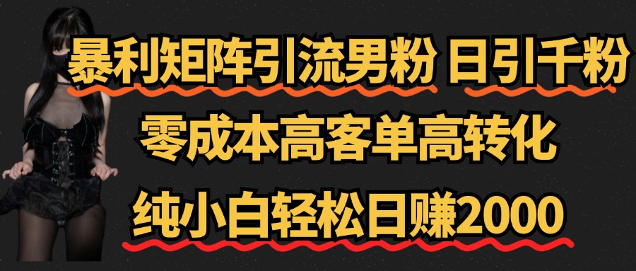 暴利矩阵引流男粉(日引千粉),零成本高客单高转化,纯小白轻松日赚2000+-博学库