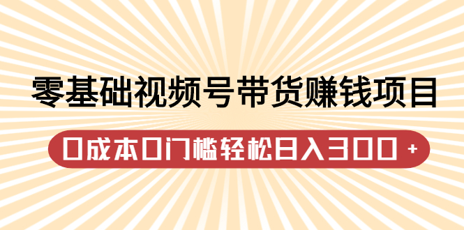 零基础视频号带货赚钱项目,0成本0门槛轻松日入300+【视频教程】-博学库