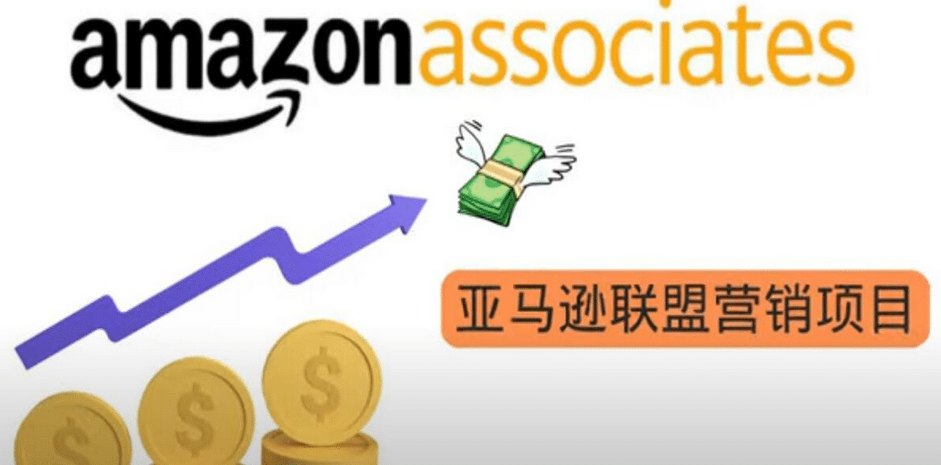 亚马逊社交媒体营销项目,无需任何投资,即可月赚1500美元-博学库