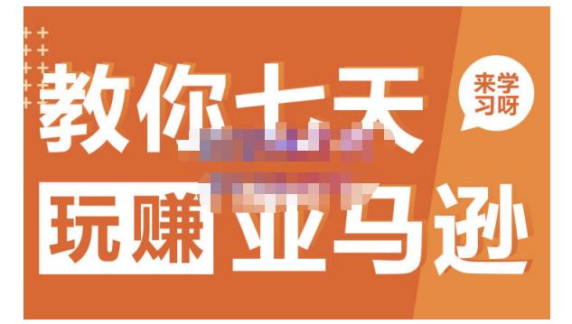 晟尧跨境·教你七天玩赚亚马逊,教你轻松玩赚亚马逊,适合小白学习-博学库