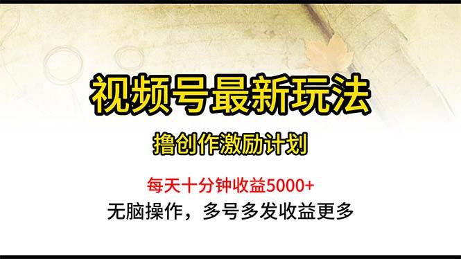 视频号最新玩法,每日一小时月入5000+-博学库