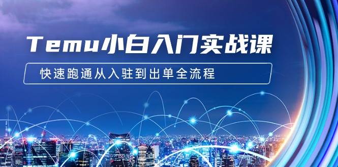 Temu小白入门实战课:跨境拼多多电商培训 快速跑通从入驻到出单全流程-12节-博学库