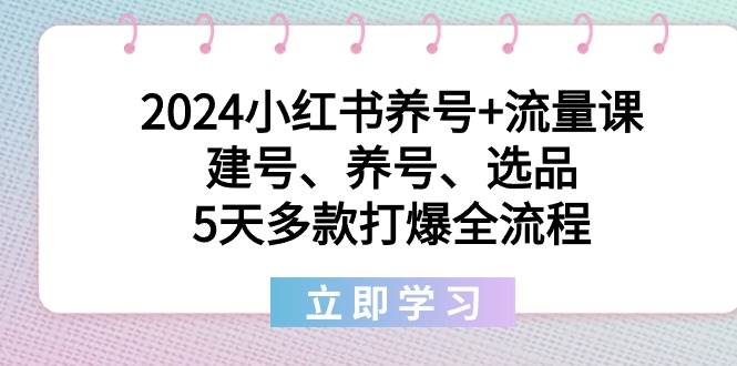 2024小红书养号+流量课:建号、养号、选品,5天多款打爆全流程-博学库