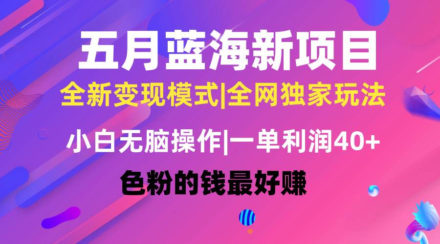 五月蓝海项目全新玩法,小白无脑操作,一天几分钟,矩阵操作,月入4万+-博学库