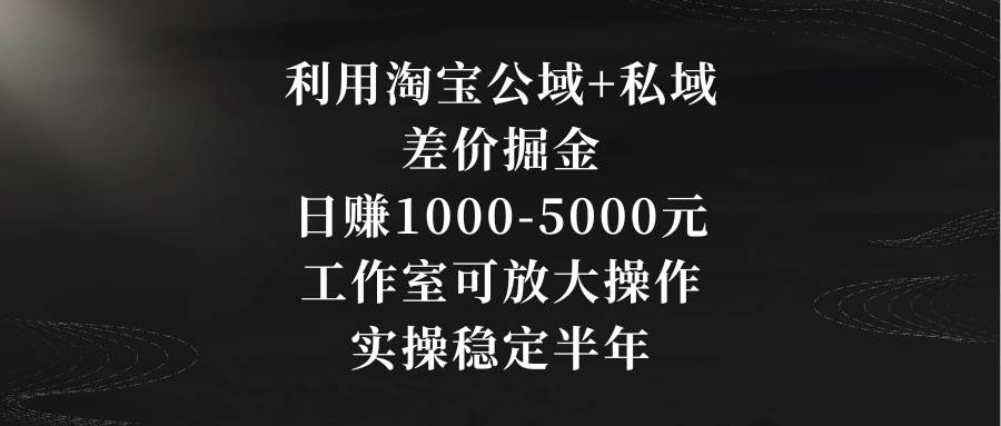 利用淘宝公域+私域差价掘金,日赚1000-5000元,工作室可放大操作,实操…-博学库